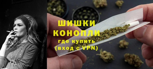 spice Бородино
